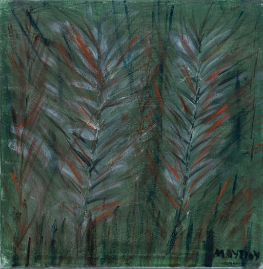 Image of Forest of oil - orange ferns