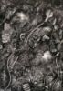 Picture of Untitled